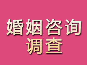 桂平婚姻咨询调查